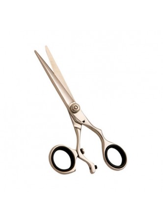 Professional Hair Scissors 